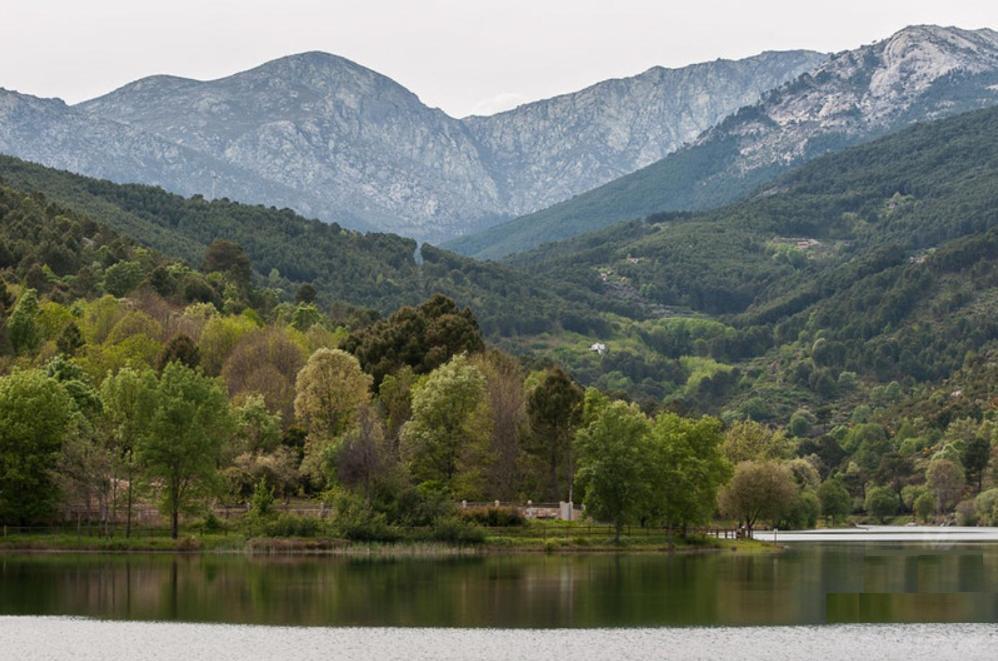 Apartamento Mirabosque - Plaza Garaje Incluida Arenas de San Pedro Dış mekan fotoğraf